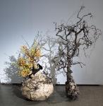 14 - Anne Breau -- Anne Breau.jpg 5.5K